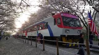 12FLY TV - Rain at Jinhae Gyeonghwa Train Station