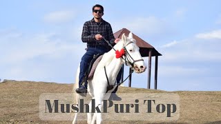 Horse Riding at Mushkpuri Top | livewithrms