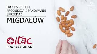 Uprawa i produkcja migdałów | Itac Professional