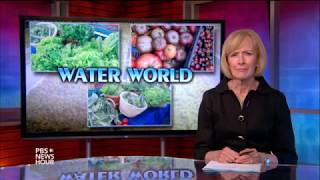 Aquaponic farming saves water, but can it feed the country   480 X 854