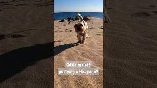 @majowanie Pustynia w Hiszpanii?🤔 #shorts #pustynia #hiszpania #plaża #puppy