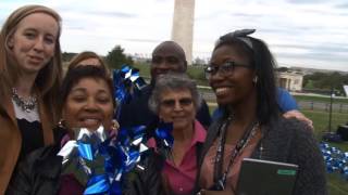 Washington D.C. Pinwheel Garden