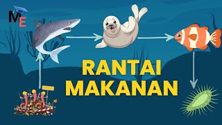 Apa itu Rantai Makanan? | Fungsi, Jenis & Contoh | Part 1