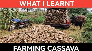 My Experience With Small Scale Cassava Farming in Nigeria