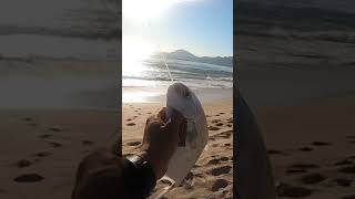 Pesca de palometa en playa del malecón de mazatlan🤙🏻🎣