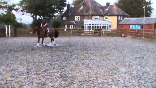 dressage anywhere sept