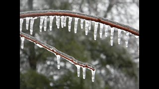 Freezing rain in Schweich in Germany -1 Temperature  #Shorts