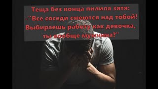 Теща  пилит зятя: "Все соседи смеются над тобой!Выбираешь работу как девочка,ты вообще мужчина?"