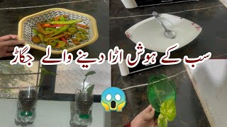 Don't waste plastic bottles| reuse plastic bottles| reuse things| hacks| kitchen tips|kitchen hacks