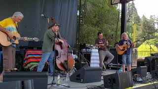 Touch of Grey - Painted Mandolin - Mtn. Sol Festival - Santa Cruz CA - Sep 22, 2019