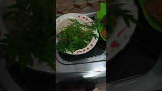 menu sarapan pagi ini nasi goreng lauk ikan sama tempe goreng lalap daun kenikir ☺☺ #shorts