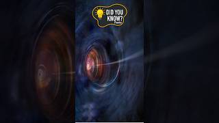 Black Holes Exposed: No Portals, Just Spaghettification! #facts #physics