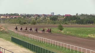 06 2 й гит Дерби.  7 августа 2022 г. Воронежский ипподром