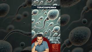 MALE INFERTILITY | Teratospermia | Poor Morphology of Sperm | Class 12 | #neet #biology #science