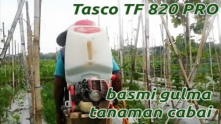 Basmi gulma cabai dg mesin semprot hama Tasco TF 820 pro