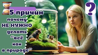 Надо ли держать дикарей "КАК В ПРИРОДЕ"? Что мы знаем про всяческую экзотику?