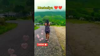 Maskeliya සප්ත කන්‍යා කඳු 😲😍 Seven Virgin Mountain Range #shorts