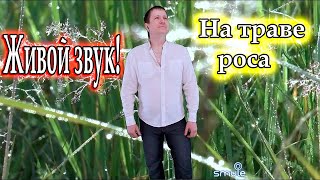 Вячеслав Малежик, исп. Владимир Need Soul Кузьмин - На траве роса (cover version)