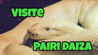 Visite Pairi Daiza Et Mon Retour