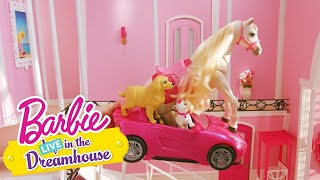 GLAD BADEDAG | Barbie LIVE! In The Dreamhouse | Barbie