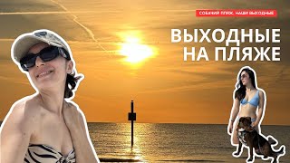 Поездка в Клируотер на пляж Наши выходные с собакой Влог США