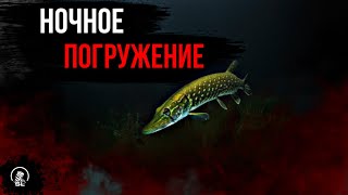 НОЧНОЕ ПОГРУЖЕНИЕ НА СИЛИКАТНОМ
КАРЬЕРЕ (НАВАШИНО ЛИПНЯ)