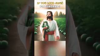 Jesus Christ found orphaned kittens #jesus #christ #short