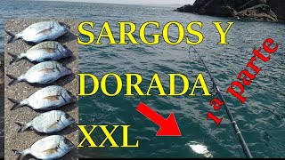 Con este sistema la pesca está asegurada.  Parte 1.