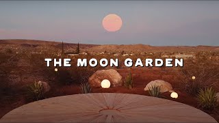 The Ultimate DIY Project: Building a Moon Garden in Joshua Tree