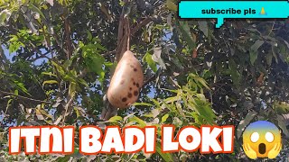 😱 Itni Badi Loki 😱!!  ( jungle) part - 1 !