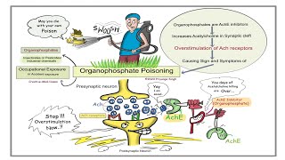 Organophosphate Poisoning Explained | EMT