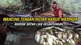 NEKAT MANCING TENGAH HUTAN BANYAK SATWA LIAR|mancing ikan wader pari tehnik Kumbul umpan geleng