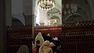 Sholat Di Masjid Quba Madinah #explore #music #song #muslim #fyp #shorts #short #cairo #umroh