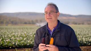 Dr Tim O'Hare discusses the Naturally Nutritious project at UQ QAAFI