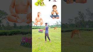 Flying crying babies Catching vs frog, parrot,pigeon Vs jokar & Domi to coista new Dida ji dancing 😁