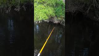 IDIOT Fishing Things 11 #youtube #fishing #shorts #subscribe #outdoors #comment #fail #funny