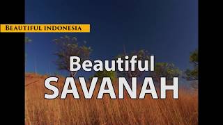 THE Beautiful Savanah East Indonesia  Guide