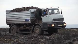 Сельскохозяйственный самосвал «Урал-432091» (САЗ) / Sugarbeet Harvest - UralAZ 4x4 (Farmer)