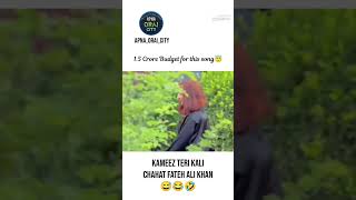 kamiz Teri kali by chahat fateh ali khan 😂 | funny instagram comments 🤣 #shorts #roast #funny