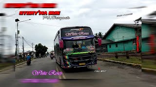 story' wa bus PO Haryanto White Roses full stut terbaru #cinemtic #vedeobus