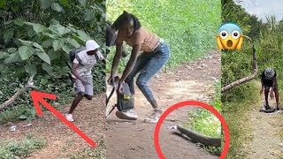 La Anaconda Gigante Multimillonaria!🐍😱 #broma #humor #viral