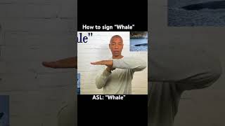 How to sign “Whale” in ASL