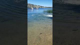 How Do They Stock Trout and Other Fish in Alpine Lakes, Sierra Mountains, California East 395