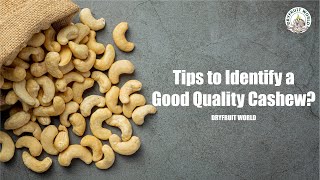 How Do You Identify a Good Quality Cashew? | Dryfruit World