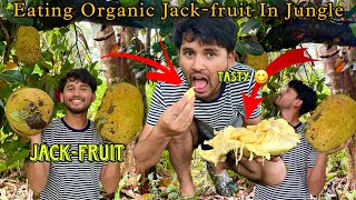 Eating Organic Jack-Fruit In jungle ​⁠​⁠