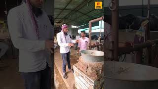 ज्यावेळी नवीन जागेत म्हशी दुध देत नाही त्यावेळेस हा जुगाड पहा... #dairyfarm #desijugaad #shortvideo