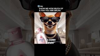 Chihuahua Meets Fan 😱 #diddy #meme audio credit: @trarags