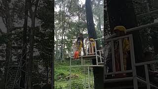 permainan menguji adrenalin || flying fox