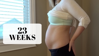 23 WEEK BUMP DATE | ULTRASOUND AND GENETIC SCREENING RESULTS