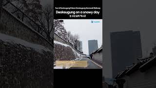 [4K] Deoksugung Palace on a snowy day (눈 오는날의 덕수궁) Deoksugung Stonewall Walkway (덕수궁 돌담길)